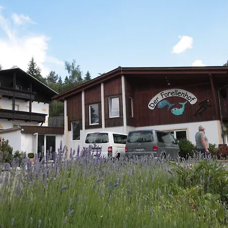 Ferienanlage Forellenhof Ledenitzen